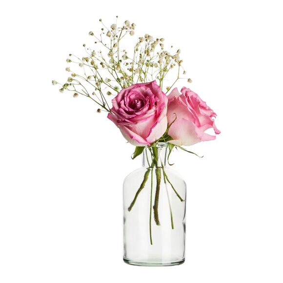 6 Clear Apothecary Glass Bottles - Picture 6 of 7